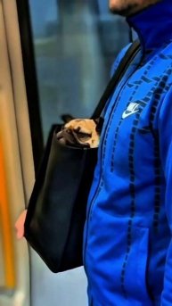 🙌Подписывайтесь🙌Помощь каналу:+➐➐➐➎➎➌➍➊➍➐➑ 🅷🅰🅻🆈🅺 🅱🅰🅽🅺 #юмор #прикол #смех.mp4