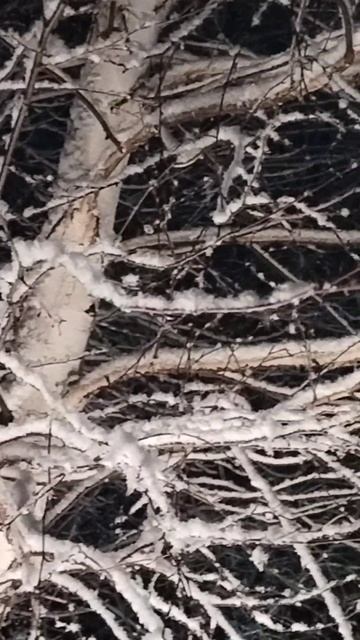 Как в сказке