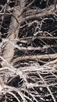 Как в сказке