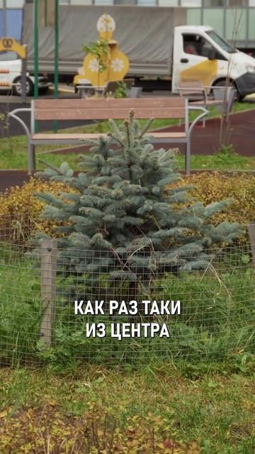 ЦЕНТР ПИТЕРА vs МУРИНО: где БОЛЬШЕ НАРКОМАНОВ?