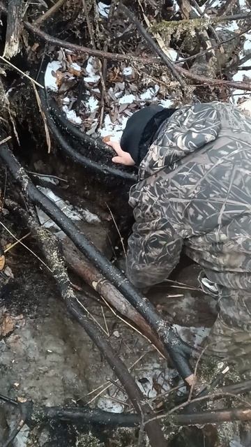 Ставим капканы! #батя