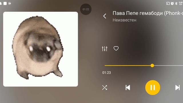 пава гема пори