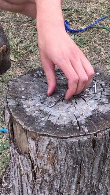 Гвоздик программы. Не бойся повторить!