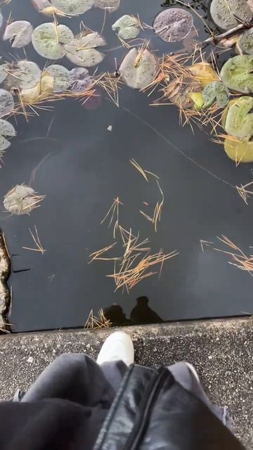 Рождество в Корее