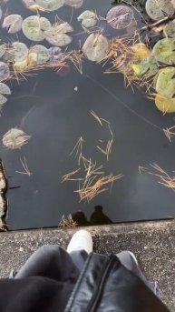 Рождество в Корее