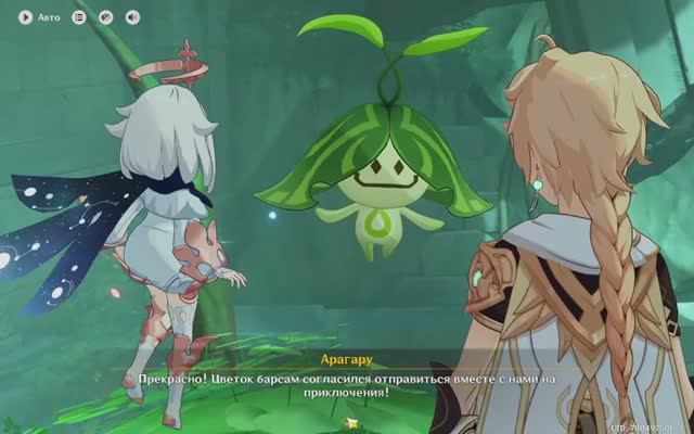 Genshin Impact глава 203 цветок Барсам