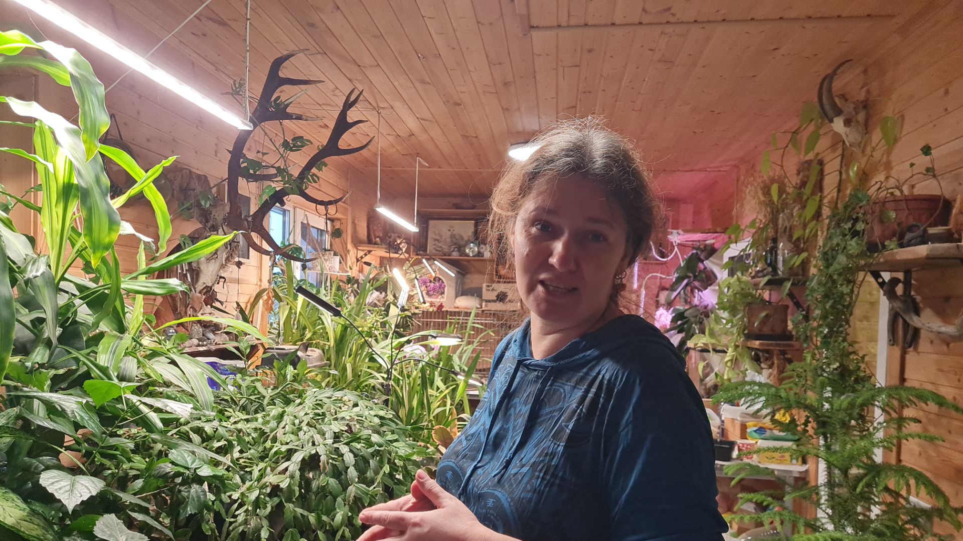 Прогулка с собаками, новые светильники и маленькая проныра