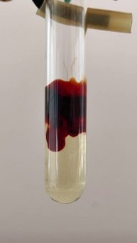 Fe(SCN)3: кровавые волны роданида