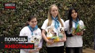 акция помощи животным