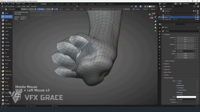 21 Model Topology 06