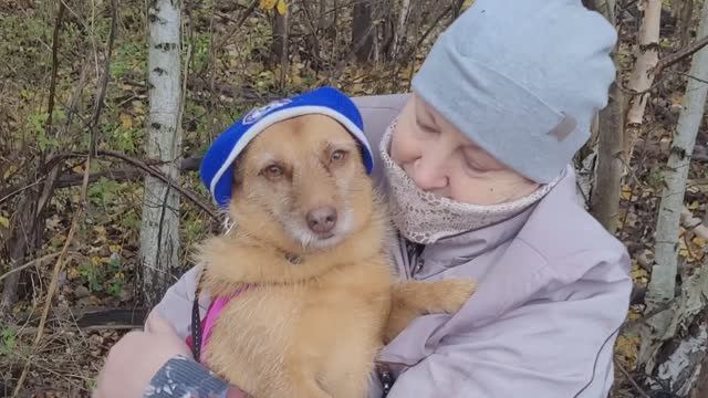 LIVE*PITER: За пару недель почти всех собачек забрали, выгуливаю оставшихся