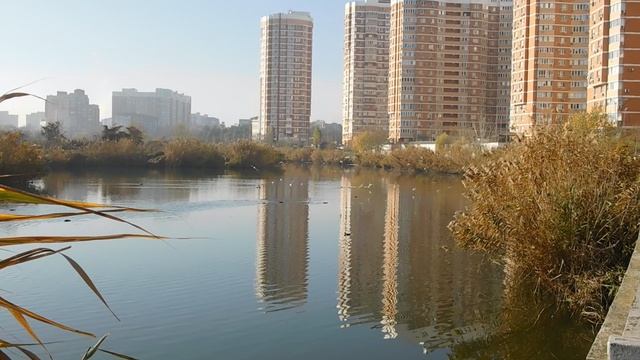 29=11=2025   кмр   ПВН   (31)