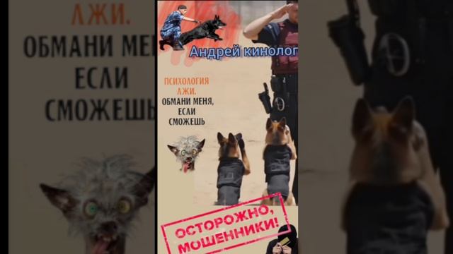 Пылесос тойота- мечта.