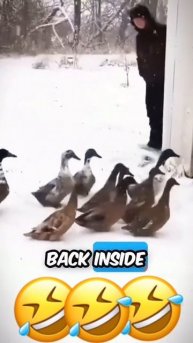 😂😂😂😂😂
подписывайтесь на перчик🌶🌶 тут всё для хорошего настроения☺☺☺