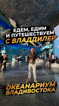 ‼️ЕДЕМ, ЕДИМ И ПУТЕШЕСТВУЕМ С ВЛАДДИЛЕР ‼️ОКЕАНАРИУМ ВЛАДИВОСТОКА‼️