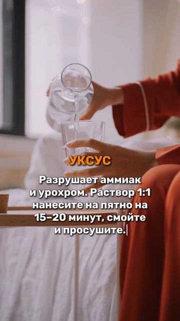 Кошачий запах в доме