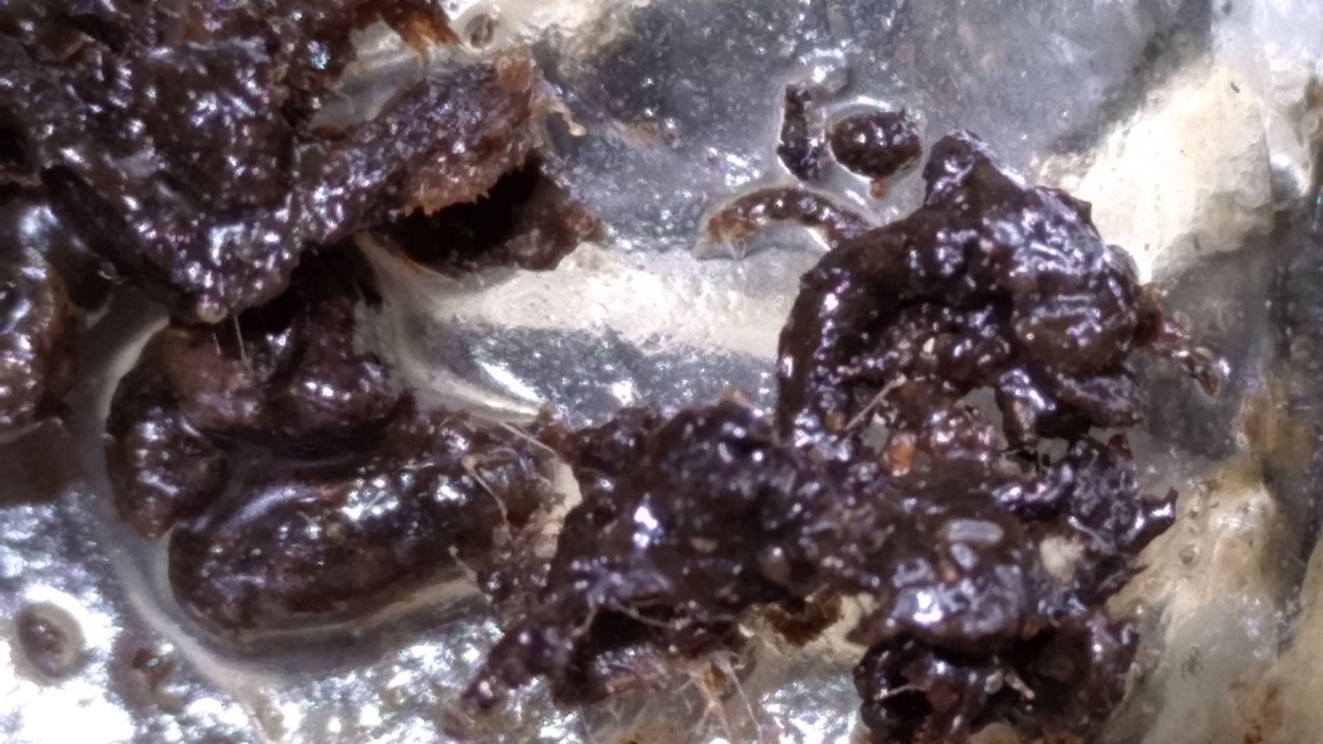 Жидкий камень Эко для пропитки дерева, камня и т.д.