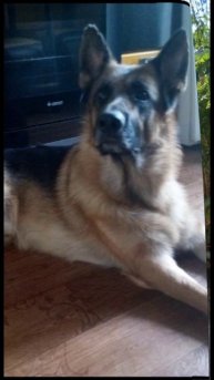 Мой Ангел..🌈🌈🌈🌈