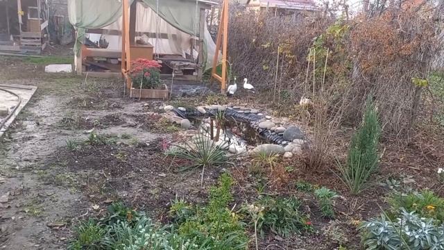 А лечение-то ,помогло! Жду ,нервничаю. Занимаюсь по елкой стены.