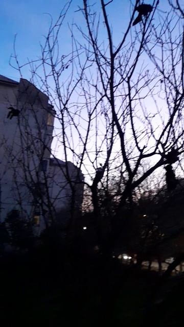 Подработка пилил деревья