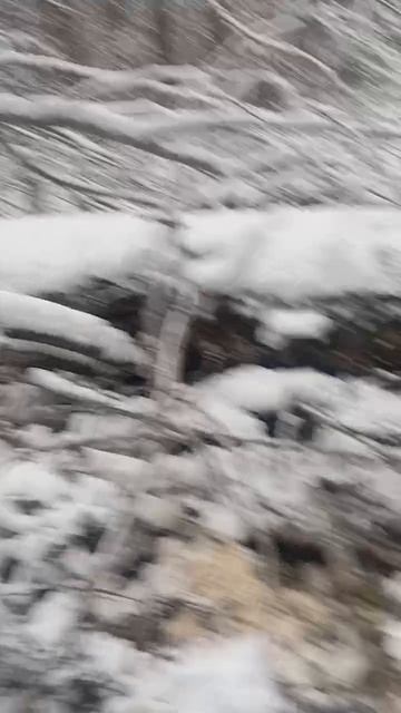 Пробиваясь сквозь завалы