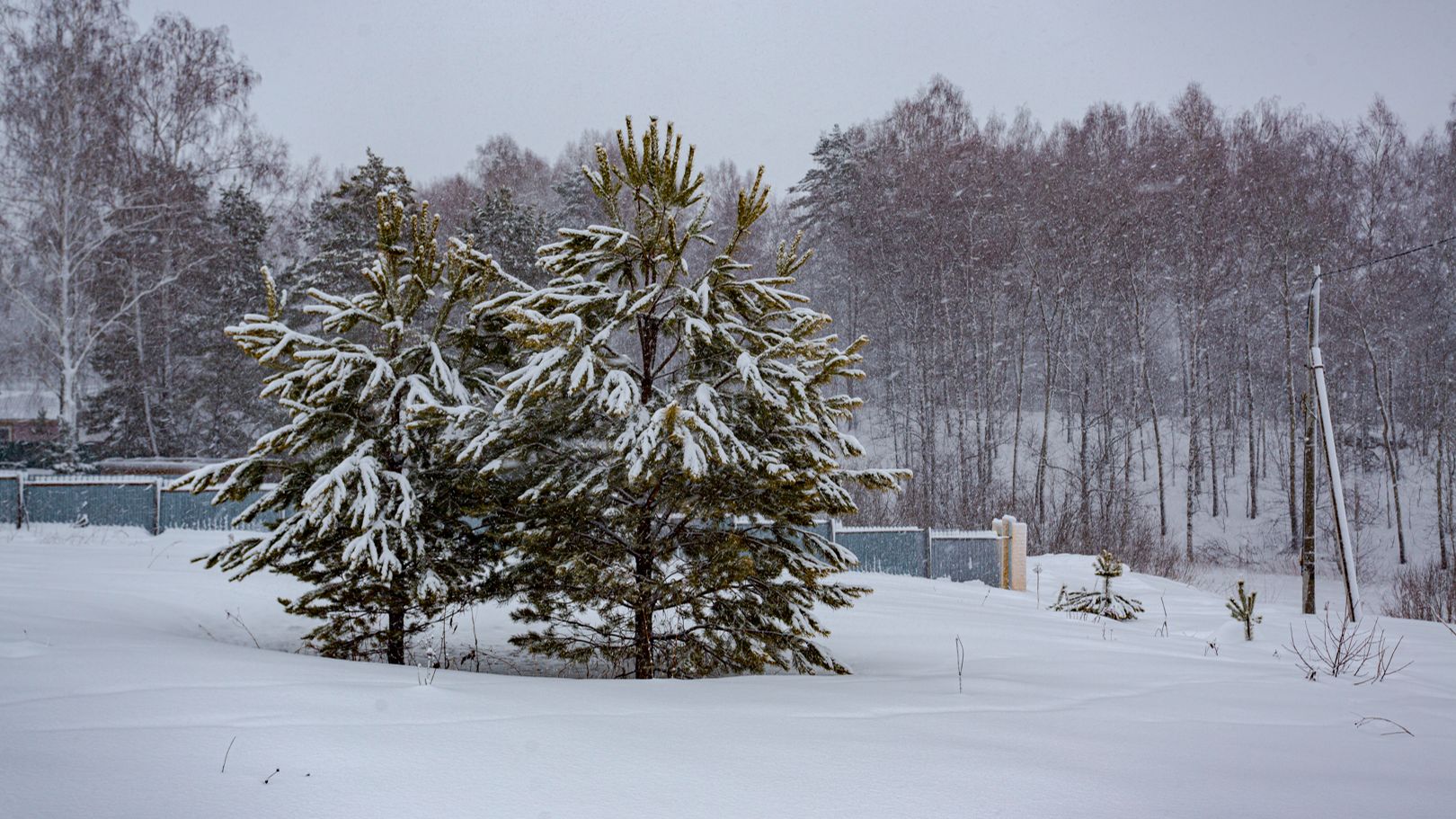 Костенково Кленовая