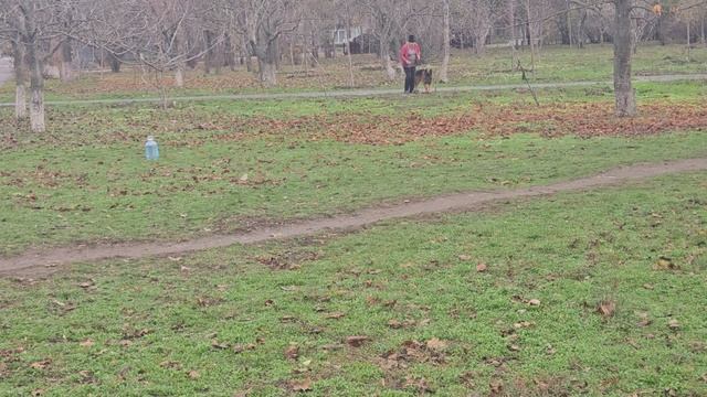 3. выражено/перв DE ORSE MAK FLAI ZHITAN (Uran della Val Sangro – De Orse Mak Flai Zumma)