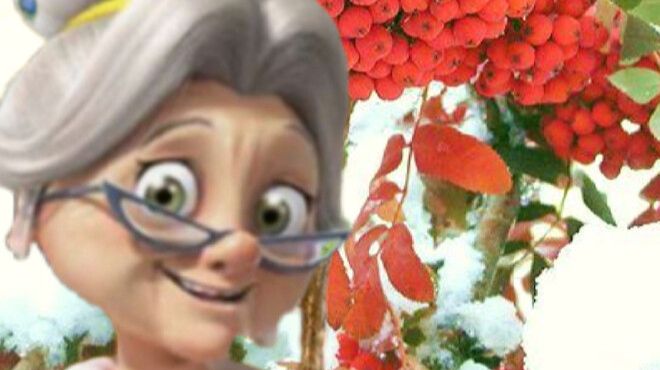 5 причин есть груши.