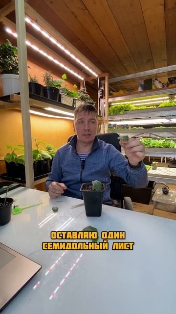 Если не знаете чем заняться зимой