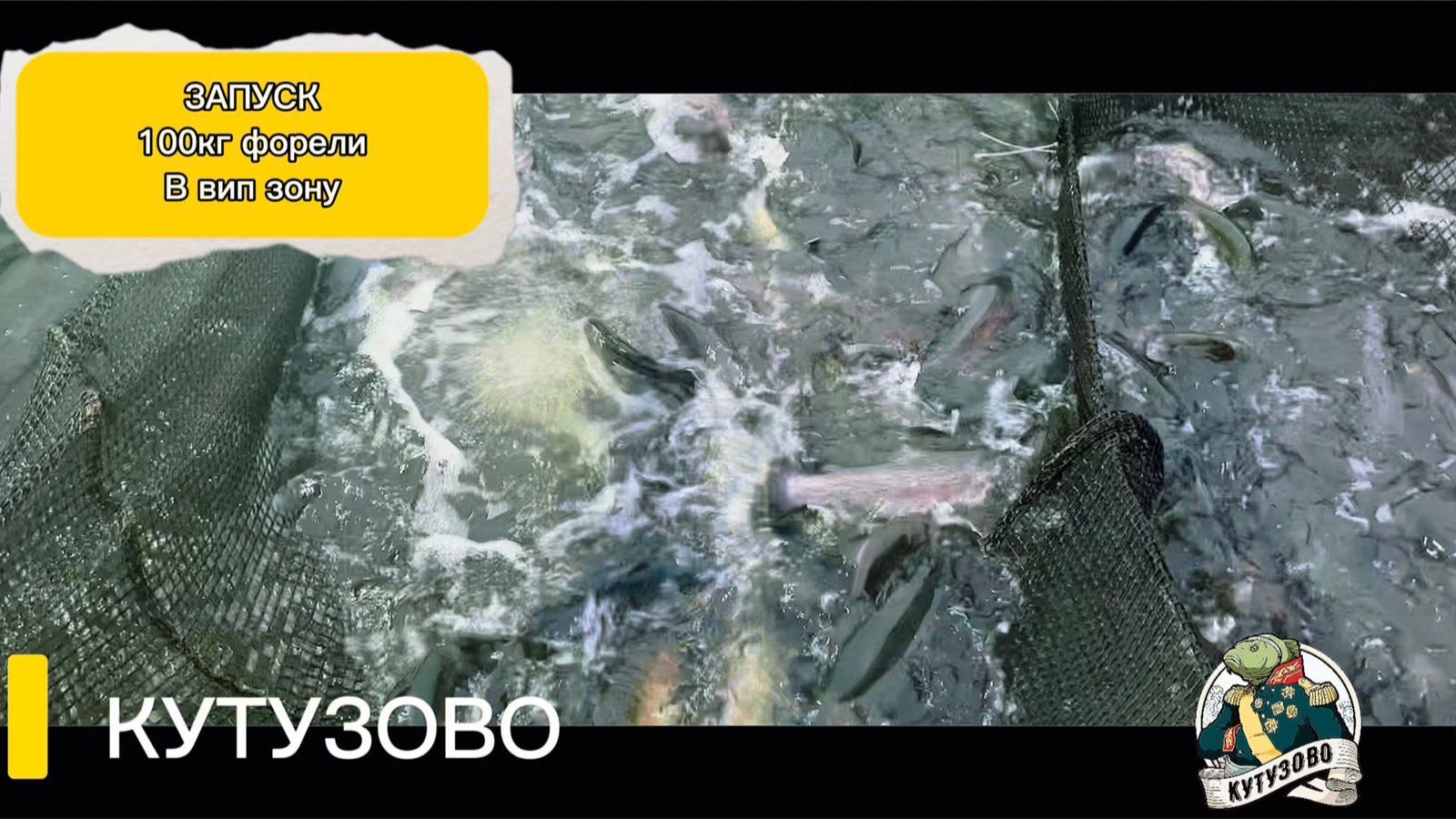 Зарыбление 100кг форели в вип зону