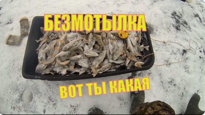 Ловля Окуня Зимой на Безмотылку