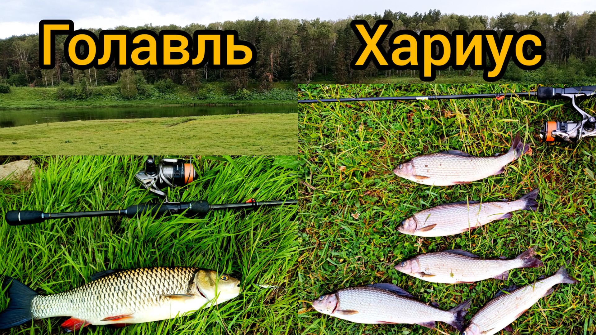 Лучшая рыбалка лета! ХАРИУС и ГОЛАВЛЬ клюют на одном перекате!