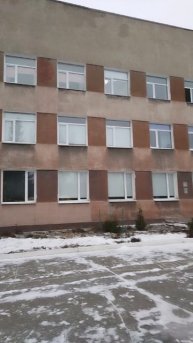 Дому детского творчества Октябрьского округа требуется ремонт фасада