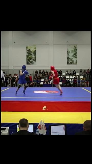 Ушу-саньда #sports #спортмосква #mma