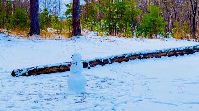Предзимье в лесу , 🌲Асбест, Средний Урал🏞️🌲🌳