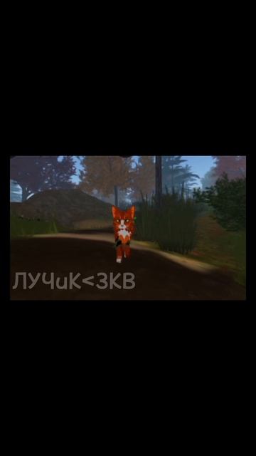 скучали по видео WCUE?)