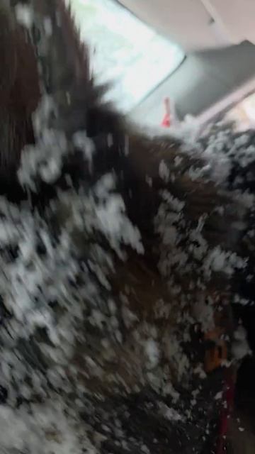 Я предупреждал что ветви в снегу