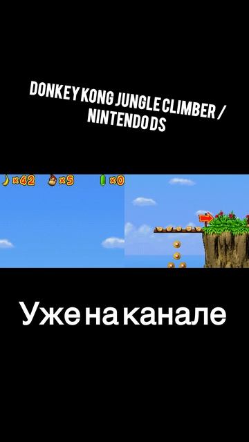 Donkey kong Jungle Climber / Nintendo DS