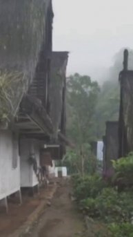 «За что мы так любим наших деревенских мам?»