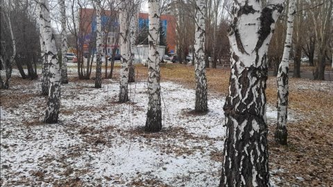 I Walk Around Vatutin Street in Omsk