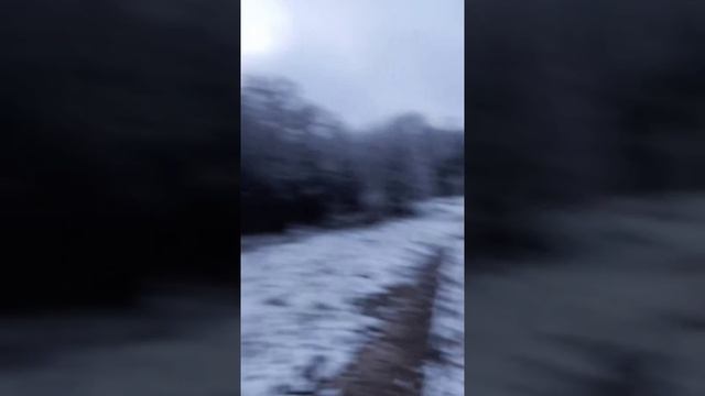 эТо МИНТАКА | MNTK Божениново, Алексинский район, Тульская область