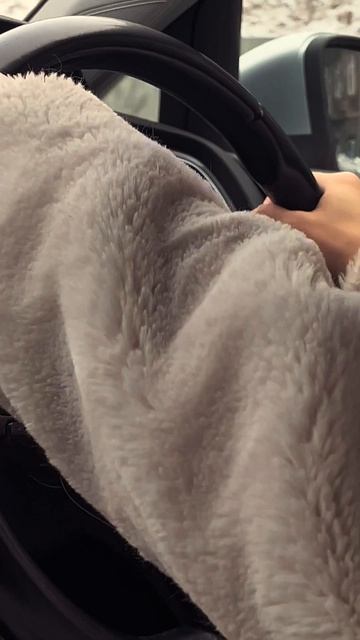 Как я снимаю с пассажирского сидения #мобильнаясъемка #фольцваген #владивосток #золотоймост