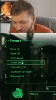 Follaut 3 - стелс бой