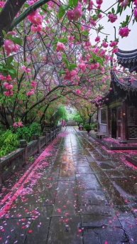 я вас любил