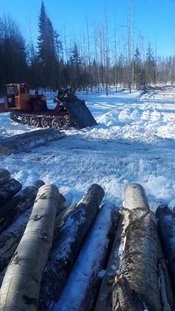 Трактор ТДТ-55 вытаскивает урал.