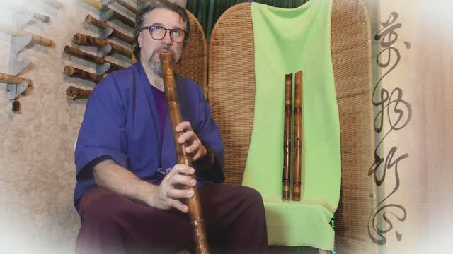 Обзор 8!!!ми дырочной флейты Zentaku Tako タコ 2.5