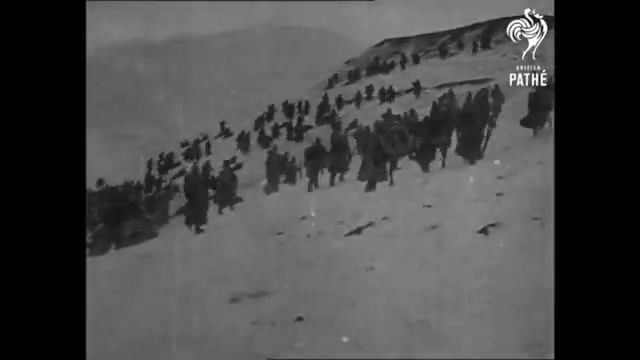 Вот вспыхнуло утро и выстрел раздался