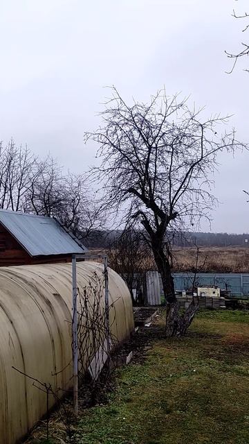 Вертолет над дачей ПЕРДОЛЕТ