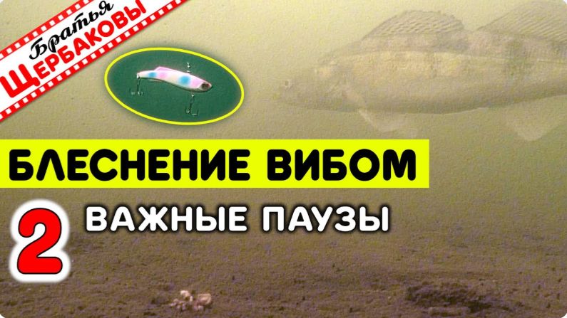 Советы для начинающих Ловля на ВИБЫ с классическими ПОДБРОСАМИ. Как определять ВЕЛИЧИНУ ПАУЗ