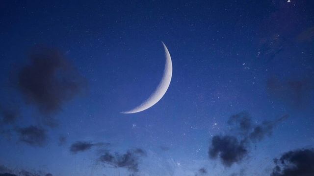 "Мечтатель"